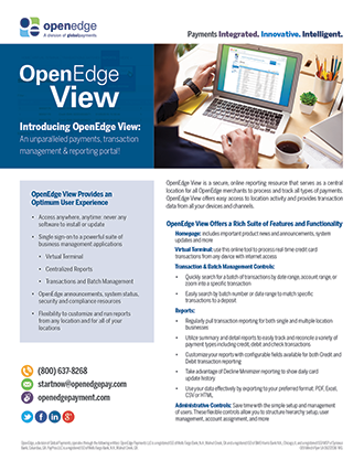 Download the OpenEdge View Flyer